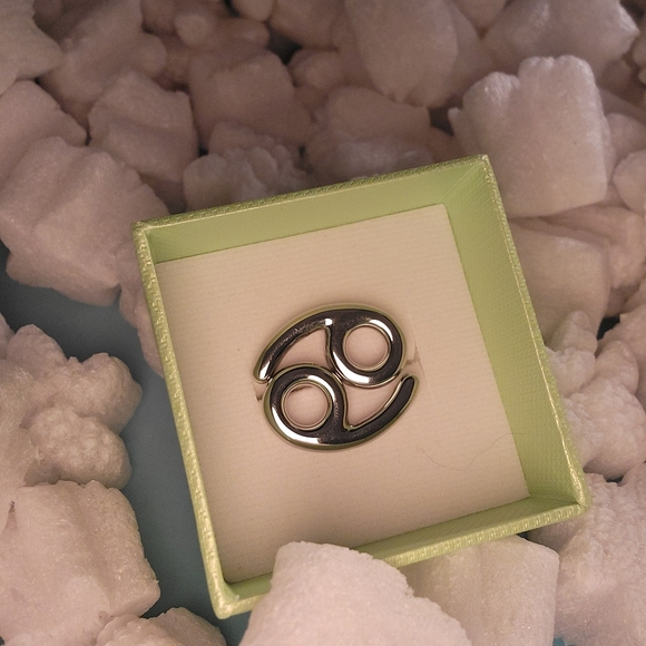studiocult Jewelry - Silver Cancer Zodiac Ring